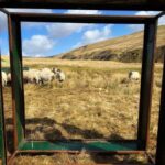 Amanda Owen Instagram - In the frame 🖼️ on a picture perfect day. #yorkshire #shepherdess #countryside #view #outdoors