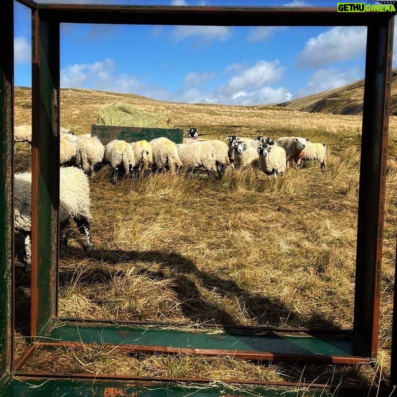 Amanda Owen Instagram - In the frame 🖼️ on a picture perfect day. #yorkshire #shepherdess #countryside #view #outdoors