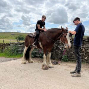 Amanda Owen Instagram - There’s horsepower @reubenowen74 @tommy.mcwhirter 🚜 
And there’s horsepower. 🐴 
Mine doesn’t have a fuel vaporisation issue. 😊 
#heavyhorse #tractor