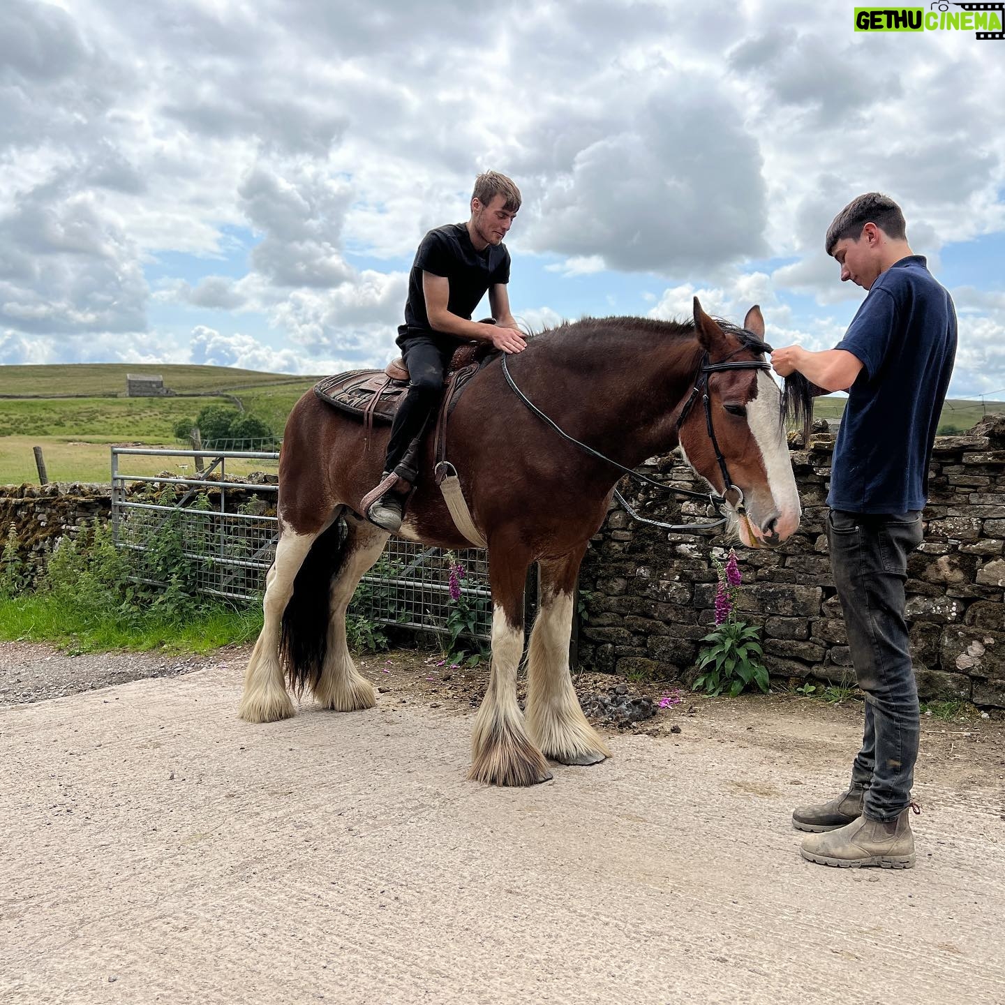Amanda Owen - 27K Likes - Thereβs horsepower @reubenowen74 @tommy.mcwhirter π
And thereβs horsepower. π΄
Mine doesnβt have a fuel vaporisation issue. π
#heavyhorse #tractor