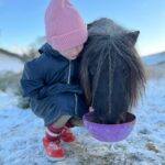 Amanda Owen Instagram - A proper wintery feel to the beginning of December. ❄️☃️🏂🐴🐑🐏 #swaledale #yorkshire #shepherdess #winter #nithered #snow #cold #freezing