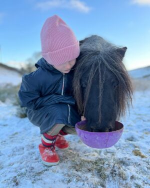 Amanda Owen Instagram - A proper wintery feel to the beginning of December. 
❄️☃️🏂🐴🐑🐏
#swaledale #yorkshire #shepherdess #winter #nithered #snow #cold #freezing