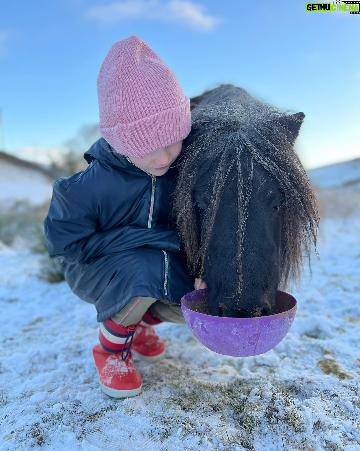 Amanda Owen - 20K Likes - A proper wintery feel to the beginning of December.
βοΈβοΈππ΄ππ
#swaledale #yorkshire #shepherdess #winter #nithered #snow #cold #freezing