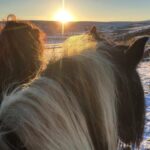 Amanda Owen Instagram - A proper wintery feel to the beginning of December. ❄️☃️🏂🐴🐑🐏 #swaledale #yorkshire #shepherdess #winter #nithered #snow #cold #freezing