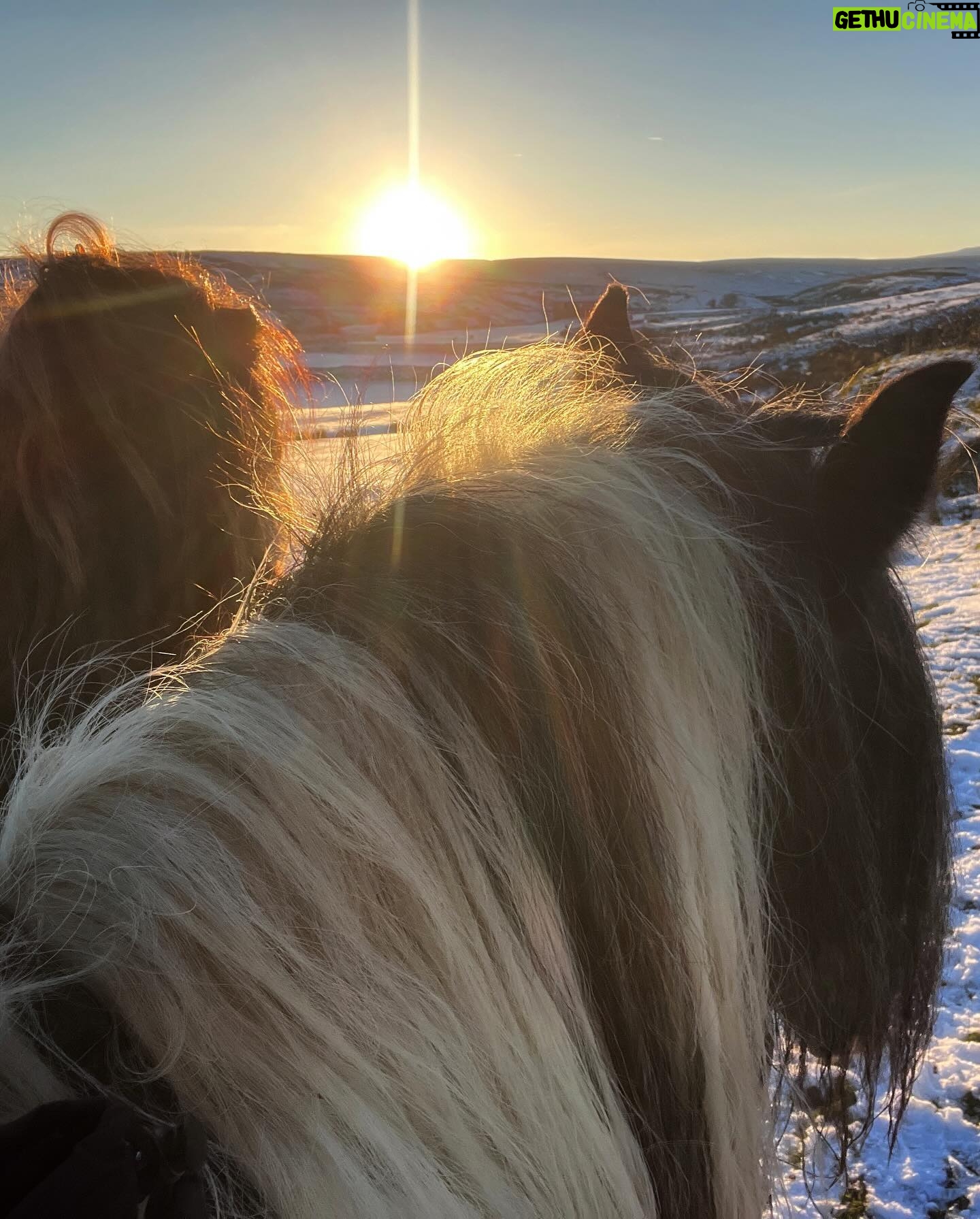 Amanda Owen - 20K Likes - A proper wintery feel to the beginning of December.
βοΈβοΈππ΄ππ
#swaledale #yorkshire #shepherdess #winter #nithered #snow #cold #freezing