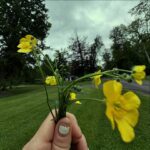 Amanda Palmer Instagram - Memorial Day Joy