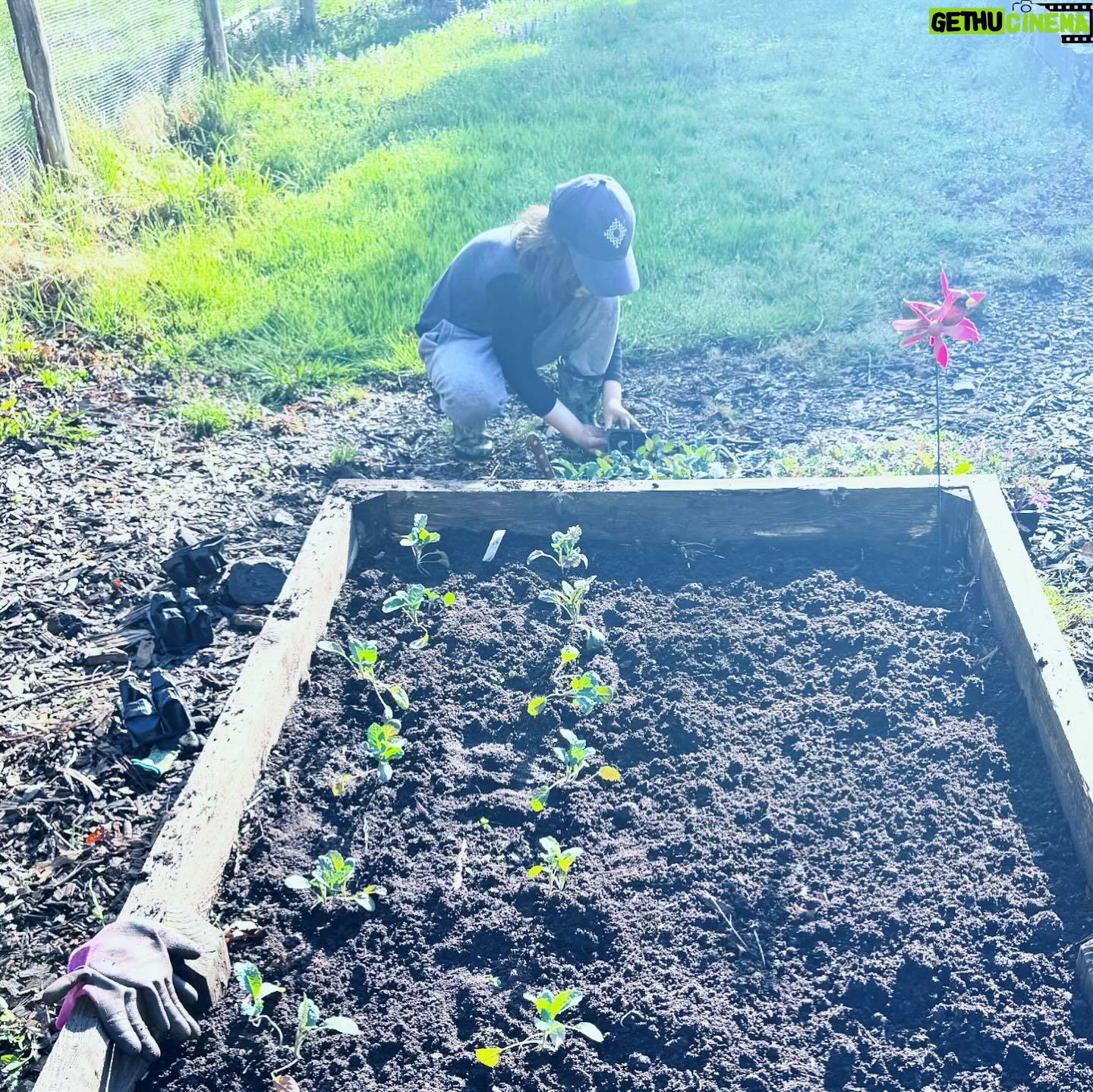 Amanda Palmer Instagram - I am becoming my own songs, and basking in it. We’ve been gardening before school this week. The kale is going in before we have to brush teeth and get to the bus stop by 8:10. So much of the last five years has been destruction, boots on fragile seedlings over and over again, dis-assembly, scorched earth. Now, finally, maybe something can flourish from the ash. We are all so slowly recovering. Putting our hands in the ground helps with the metaphor every day. My body shakes less. My mind can settle. My little seed here is starting to smooth out his anxieties, make sense of the pain. We slowly get away from the darkness that bites at our heels, we wake up to date after day of very simple delight. This garden, I know, is a luxury. I think about the burning ground in so many places on earth right now. The wreckage. This oasis. What else to do? So slowly, one handful of dirt at a time, we plant, we feebly attempt to heal our own little broken worlds. The things that happen in our lives, my friends, may be horrific. Unimaginably dark. But then, things settle; there is compost. So please, as @cosmogyny so beautifully puts it: make something grow. Happy spring to you all. I love you. (Also, to the hundreds of people who became my patrons on my birthday, I’m blown away and so grateful. Thank you for helping me grow. I’ll write to you all soon over there.) ♥️🌱♥️🌱♥️