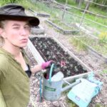 Amanda Palmer Instagram - The kale is comin along! And I wrote 80% of a new song this morning. Tools of the trade: sun protection, Kleenex, coffee. I am so bummed I missed #WorldNakedGardeningDay but I swear I’ll get on it next year. For all of you who have been appreciating my gardening porn, I’ll deeply consider a Naked Gardening OnlyFans to subsidize the recording of the new @dresdendolls record if push truly comes to shove. I’ve done worse. 🎉🌱♥️🎹