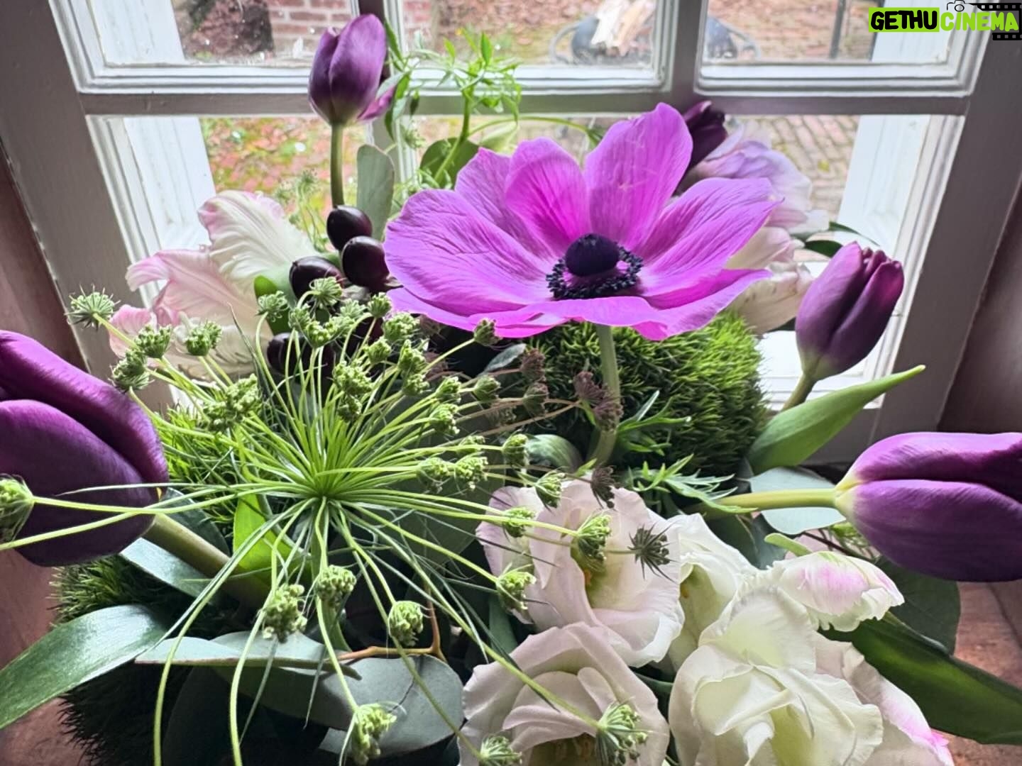 Amanda Palmer Instagram - This is the first time in my life I’ve sat down to have a birthday party while somewhere across the earth, I missed a funeral for a dear friend. At 6pm we laid the table and Ash picked flowers and helped decorated the cake, while somewhere on Palm Beach on Waiheke in Tomorrowland, @danikacharity read the poem I wrote today for Bianca…while everyone over paid their respects to her body. Her life. This is the first time I’ve sat down on a birthday to pen a poem for a death day. There’s a first for everything. This night. These people. Flowers came from afar. I was surrounded by so much love, and the love feels that much more infinite and rich in contrast with the gaping landscapes that are blurry and ragged around the edges. The missing. In death we live. In loss we find our alive. In dark we light. I feel more will to mother knowing that Bianca, right now, cannot. I have never been more grateful for my friends, my loved ones, my lover, my bath soaps, my bedside pens and pencils, my ability to write a poem, my son and his laughter, the blood coursing through my warm hands. My friends. My friends. My friends. Hold your loved ones close tonight. My god, it’s all so fucking brief. To all few hundred of you who joined the Patreon togay, welcome to the family. It’s a good one. Good night. I’ll never feel a day like this again on earth. ♥️🥀