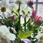 Amanda Palmer Instagram - This is the first time in my life I’ve sat down to have a birthday party while somewhere across the earth, I missed a funeral for a dear friend. At 6pm we laid the table and Ash picked flowers and helped decorated the cake, while somewhere on Palm Beach on Waiheke in Tomorrowland, @danikacharity read the poem I wrote today for Bianca…while everyone over paid their respects to her body. Her life. This is the first time I’ve sat down on a birthday to pen a poem for a death day. There’s a first for everything. This night. These people. Flowers came from afar. I was surrounded by so much love, and the love feels that much more infinite and rich in contrast with the gaping landscapes that are blurry and ragged around the edges. The missing. In death we live. In loss we find our alive. In dark we light. I feel more will to mother knowing that Bianca, right now, cannot. I have never been more grateful for my friends, my loved ones, my lover, my bath soaps, my bedside pens and pencils, my ability to write a poem, my son and his laughter, the blood coursing through my warm hands. My friends. My friends. My friends. Hold your loved ones close tonight. My god, it’s all so fucking brief. To all few hundred of you who joined the Patreon togay, welcome to the family. It’s a good one. Good night. I’ll never feel a day like this again on earth. ♥️🥀
