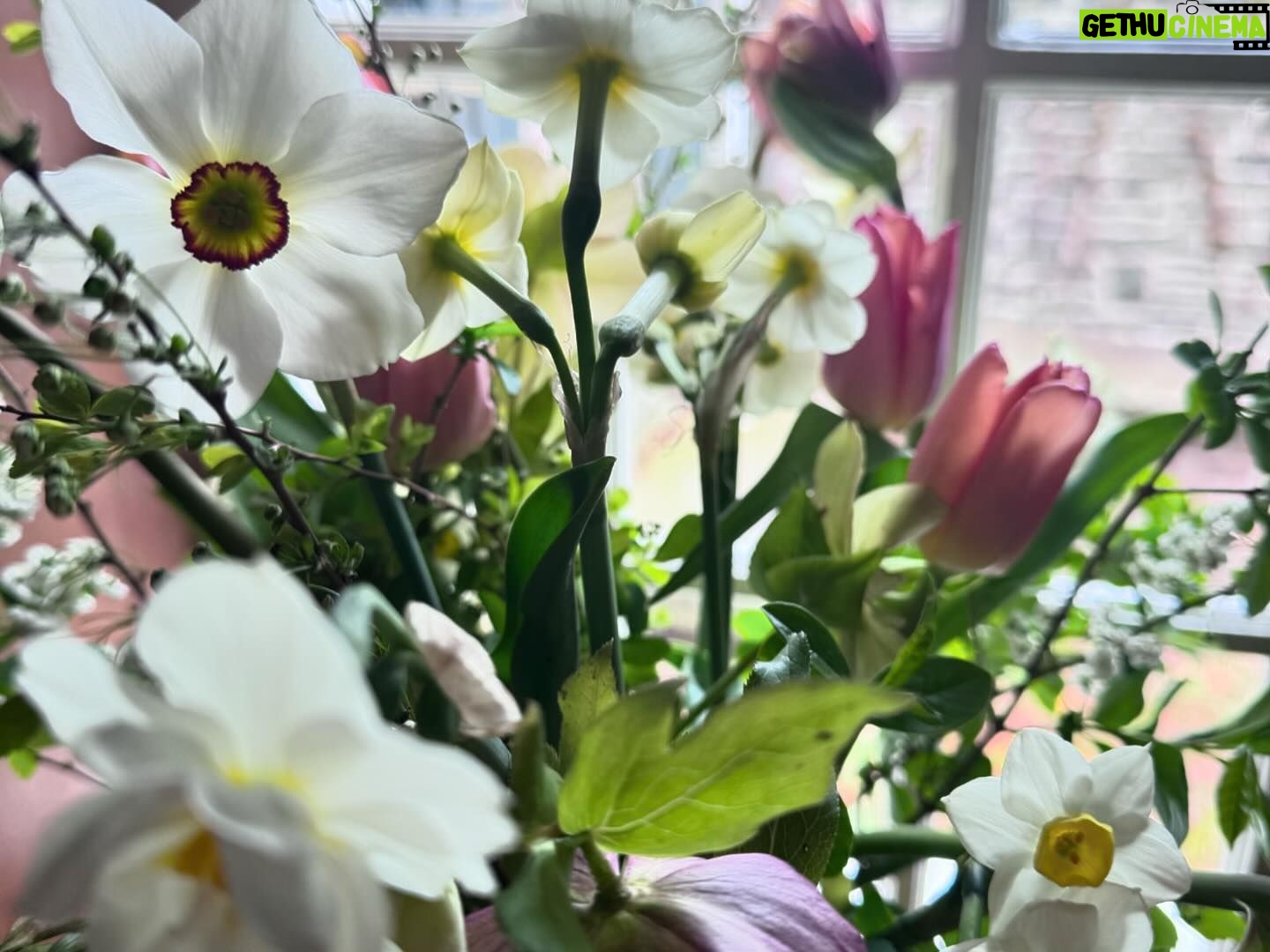 Amanda Palmer Instagram - This is the first time in my life I’ve sat down to have a birthday party while somewhere across the earth, I missed a funeral for a dear friend. At 6pm we laid the table and Ash picked flowers and helped decorated the cake, while somewhere on Palm Beach on Waiheke in Tomorrowland, @danikacharity read the poem I wrote today for Bianca…while everyone over paid their respects to her body. Her life. This is the first time I’ve sat down on a birthday to pen a poem for a death day. There’s a first for everything. This night. These people. Flowers came from afar. I was surrounded by so much love, and the love feels that much more infinite and rich in contrast with the gaping landscapes that are blurry and ragged around the edges. The missing. In death we live. In loss we find our alive. In dark we light. I feel more will to mother knowing that Bianca, right now, cannot. I have never been more grateful for my friends, my loved ones, my lover, my bath soaps, my bedside pens and pencils, my ability to write a poem, my son and his laughter, the blood coursing through my warm hands. My friends. My friends. My friends. Hold your loved ones close tonight. My god, it’s all so fucking brief. To all few hundred of you who joined the Patreon togay, welcome to the family. It’s a good one. Good night. I’ll never feel a day like this again on earth. ♥️🥀
