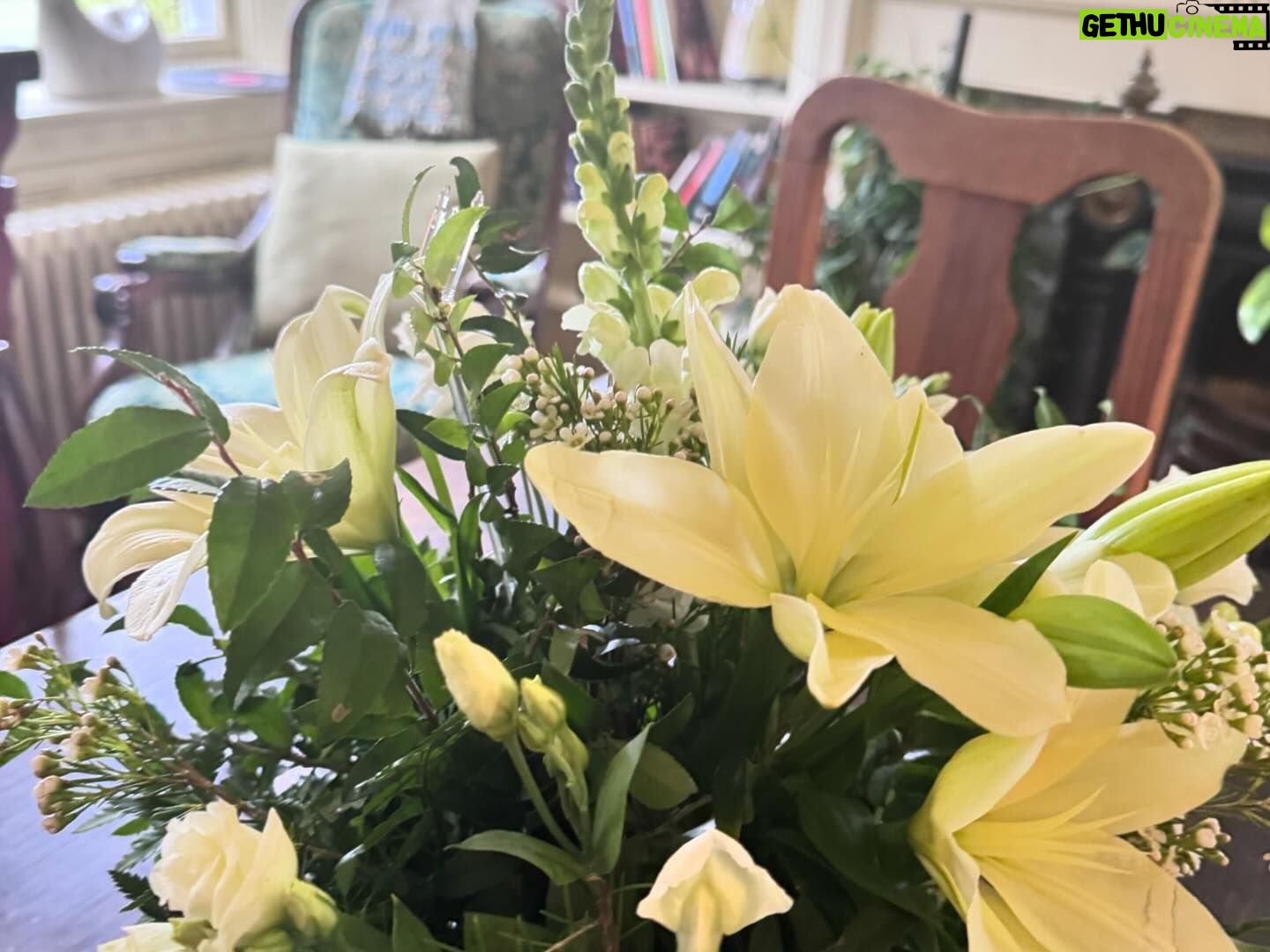 Amanda Palmer Instagram - This is the first time in my life I’ve sat down to have a birthday party while somewhere across the earth, I missed a funeral for a dear friend. At 6pm we laid the table and Ash picked flowers and helped decorated the cake, while somewhere on Palm Beach on Waiheke in Tomorrowland, @danikacharity read the poem I wrote today for Bianca…while everyone over paid their respects to her body. Her life. This is the first time I’ve sat down on a birthday to pen a poem for a death day. There’s a first for everything. This night. These people. Flowers came from afar. I was surrounded by so much love, and the love feels that much more infinite and rich in contrast with the gaping landscapes that are blurry and ragged around the edges. The missing. In death we live. In loss we find our alive. In dark we light. I feel more will to mother knowing that Bianca, right now, cannot. I have never been more grateful for my friends, my loved ones, my lover, my bath soaps, my bedside pens and pencils, my ability to write a poem, my son and his laughter, the blood coursing through my warm hands. My friends. My friends. My friends. Hold your loved ones close tonight. My god, it’s all so fucking brief. To all few hundred of you who joined the Patreon togay, welcome to the family. It’s a good one. Good night. I’ll never feel a day like this again on earth. ♥️🥀