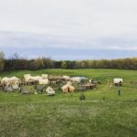 Amanda Schull Instagram – 3 years ago this week I was a cow person in 1852. 
Swipe left to see some of my fellow cow folk and a birdseye view of the epic tent world created for #12Monkeys. 
Fun fact: my horse did not care for me. 
@emilyhampshire 
@aaronastanford @tstashwick @the_joe_menendez 
#tbt 
#cowfolk #verywildwest #butactuallywildwildcanada
