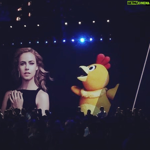 Amanda Schull Instagram - This weekend five years ago. Swipe left to see how easily I got upstaged (and rightfully so). #yougochica #chicaisthechicken #12Monkeys