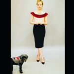 Amanda Schull Instagram - PART 2: If you knew me you knew Ru. He went everywhere with me. He was my canine soul mate. My (now) husband told Rupert he loved him before he told me, which makes absolute sense. To know Ru was to love him. When my son was born Rupert would rest his head near his blanket and kiss his cheeks. When I would feed Paterson, Ru would climb into my lap and Paterson would absent-mindedly play with Ru’s hair. Every decision we made as a family we made with Ru in mind. Which is why it is so unsettling to not have him in our lives any longer. We lost a little bit of our purpose. We still take his old route when we go on walks. We still forget and save a bit of fried egg to top off his breakfast from time to time. And we still do a cheer in his honor every night. I suppose the love story I’m sharing isn’t exactly a story, but more of a narrative. Our pets are our family.They are woven into the story of our lives and they give us so much more than we could ever give them because we are everything to them. I hope that wherever he is Ru knows how whole he made my life. He was and always will be my very good boy. Share your #PetcoLoveStory to help your adoption organization earn up to $100,000 in funds from @petcolove. Visit www.petcolove.org/lovestory to submit your story by Sept. 20