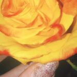 Amber Martinez Instagram - Feb. 3rd, 4th & 5th: Flowers, California Floods/Rain Showers, Watching the Grammys, Staying In and Relaxing, Yummy Vanilla Cake, and Dog Walking...Francois loved the rain free break, that happened for like 1 hour lol 🤣...Incredible performances by Joni Mitchell and Annie Lennox! 🎤🎶🌊 @recordingacademy @latingrammys @grammymuseum @jonimitchell @officialannielennox #annielennox #jonimitchell #Flowers #grammys #grammys2024 #recording #recordingacademy #roses #pomeranian #pastry #pomeranian #pomeranians #cake #rainydays #rain #floods #floral #singer #nails #liveperformance #music #bouquet