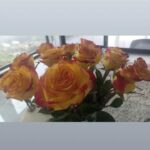 Amber Martinez Instagram - Feb. 3rd, 4th & 5th: Flowers, California Floods/Rain Showers, Watching the Grammys, Staying In and Relaxing, Yummy Vanilla Cake, and Dog Walking...Francois loved the rain free break, that happened for like 1 hour lol 🤣...Incredible performances by Joni Mitchell and Annie Lennox! 🎤🎶🌊 @recordingacademy @latingrammys @grammymuseum @jonimitchell @officialannielennox #annielennox #jonimitchell #Flowers #grammys #grammys2024 #recording #recordingacademy #roses #pomeranian #pastry #pomeranian #pomeranians #cake #rainydays #rain #floods #floral #singer #nails #liveperformance #music #bouquet