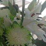 Amber Martinez Instagram - Last 2 weeks of January, Beginning of February Recap ❤️🥂🌴@whohasit.co @shoutoutwithsage @wea.earth #reels #ambermartinezreels #ambermartinezreel #awards #flowers #gifts #motorcycles #daytrips #fun #music