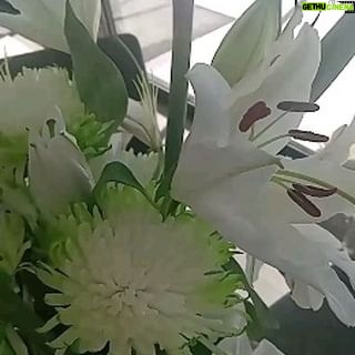 Amber Martinez Instagram - Last 2 weeks of January, Beginning of February Recap ❤️🥂🌴@whohasit.co @shoutoutwithsage @wea.earth #reels #ambermartinezreels #ambermartinezreel #awards #flowers #gifts #motorcycles #daytrips #fun #music