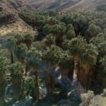 Amber Martinez Instagram - Jan. 14th, 15th, 16th & 17th 2024: Palm Springs and Mountain Hiking🌴❤️🌴😊🥂 @debz_j143 @travissklarski @vacation_rentals_palm_springs @palmspringsvacation_rental #palmsprings #palmspringslife #ambermartinez #mountain #hiking #hikingadventures #unicorn #adventure #palms @365thingstodoin_palmsprings #fountain #relaxation #sunshine #pool #nature #naturephotography #trip #sun