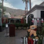 Amber Martinez Instagram - 🌴A few days in Palm Springs🌴December 17th, 18th, and 19th ❤️ @debz_j143 @palmspringsvacation_rental @vacation_rentals_palm_springs #ambermartinez #palmsprings #holidays #holidayseason #palmtrees #sunshine #bikinis #poolparty #swim #ambermartinezvideo #ambermartinezvideos #ambermartinezreel #ambermartinezedit #ambermartinezedits #AmberMartinez #happy #pool #steak #christmastree #lights #sun