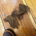 Amber Tamblyn Instagram - It’s International Women’s Day. I cut off half a foot of my hair. Here’s a picture for the algorithm, to pull you in close like a good poet can do, to tell you I’ve been thinking a lot about being a woman lately. I’ve been thinking about women all over the world, especially those in conflict zones, whose bodies are collateral damage in wars, politics, the work place, our own homes. Women who have been assaulted, kidnapped, silenced, displaced, disappeared. I’m thinking about South Sudanese women, Palestinian women, Congolese women, Iranian women, Haitian women, Jewish women, Ukrainian women, American women. ALL women. I’m thinking about E. Jean Carroll getting justice decades later against a man this country might say yes to again. I’m thinking about why we keep saying yes to these men, again and again. I’m thinking about the ghosts of the MeToo movement; the stories I heard that still haunt me, that will never get their reckoning, their day in court, their light of day. I’m thinking about what we let happen to Brittany Watts, American Black mothers, and the women in Alabama who were so close to getting their IVF transfers. I’m thinking of the women who will never get to have their babies, and the women who never got to say goodbye to their own. I’m thinking about when Ada Limón wrote that the insides of herself are part female, part male, part terrible dragon, and how much I know this to be true. I’m thinking about everything that’s burned in the fires of other’s mouths, how much blood we’ve collectively lost, us women, from all of it—enough to fill a thousand oceans. I’m thinking of all that we hold, and all that is ripped away from us. Of the ways we are torn into, split apart, pitted against one another. Today I’m thinking about you. Each and every one of you, across the world. Here are some orgs I love that are thinking about women and girls, too. Share yours in the comments. ▪️Women’s Peace and Humanitarian Fund: WphFund.org ▪️International Planned Parenthood Federation: IPPF.org ▪️GlobalRightsForWomen.org #InternationalWomensDay