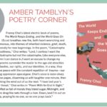 Amber Tamblyn Instagram - I’ve been reviewing books of poetry by women for Bust Magazine for years but have not been great at getting them up online to share with you. So here I am! Doing it! From the Spring issue coming out next week, here is Erin Marie Lynch’s “Removal Acts,” plus a couple other reviews from past issues. Enjoy, poetry enthusiasts! (And sorry for my face on every single one of them. 🤦‍♀️) 📖Erin Marie Lynch’s fantastic debut, “Removal Acts” from the Spring ’24 issue 📖Mary Jo Bang’s wonderful “A Film in Which I Play Everyone” from the Fall ‘23 issue 📖Franny Choi’s magnificent, “The World Keeps Ending, and the World Goes On” from the Spring ’23 issue 📖Stephanie Burt’s exquisite examination and excavation of queerness, “We Are Mermaids” 📖Diane Di Prima’s posthumous, divine collection, “Spring and Autumn Annals” 📖Chessy Normile’s brilliant “Great Exodus, Great Wall, Great Party” 📖Hilary Peach’s beautiful debut, “Bolt”