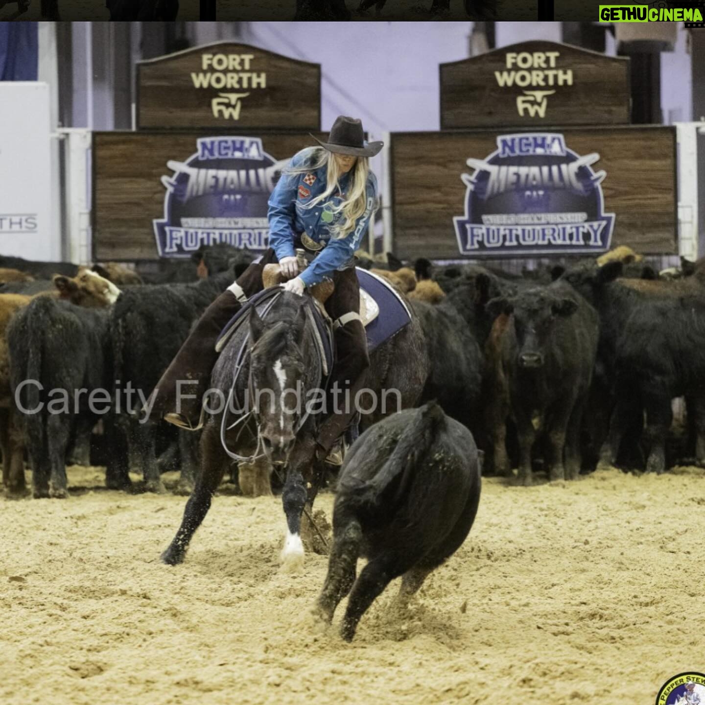 Amberley Snyder Instagram - 💬 Question by @finjohnegan: Is there an equestrian disciple you’ve admired or always wanted to do, but haven’t? 🌟 🍀 Competing in the @careity_foundation celebrity cutting last fall was one of the funnest things I’ve ever done!! I have only ridden a cutting horse once prior to this experience and never cut a live cow! It was absolutely thrilling!! If I wasn’t a barrel racer I think I might want to be a cutter! Thanks for a great question! 🤗 And thanks to Jake Ream and family for making that experience possible!! 🤍 #amberleysnyder #walkriderodeo