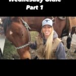 Amberley Snyder Instagram – 💕 WHEELCHAIR WEDNESDAY OLDIE PART 1 from 2017! 💕

Fun to actually see where we started with Legacy as a newbie to the team! 🥰

#wheelchairwednesday #amberleysnyder #walkriderodeo