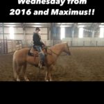 Amberley Snyder Instagram - 🩵 WHEELCHAIR WEDNESDAY from the vault of 2016 and Maximus! He was my rope horse!! 🐴 😍 This would be a good one to make an updated video so I will! #wheelchairwednesday #walkriderodeo #amberleysnyder