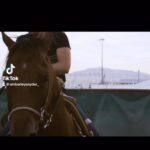 Amberley Snyder Instagram - 🔥 BEMER keeps Legacy feeling ready all season!! 🔥 @bemerhorseset #amberleysnyder #walkriderodeo #bemer #frenchopen