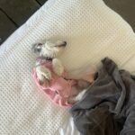 Ambyr Childers Instagram - Thank you 🩷@vetchy 👙 Everyone is on their own private journey, with an entire world inside of them we will never fully come to know. We can go through the same experience together, but that moment will mean something entirely different to each of us. As we weave in and out of each other's paths, I think the key is to love before we seek to understand. People will surprise us in a million ways. Some ways will hurt us and some ways will heal us. Some ways will challenge us and some ways will change us. What if each person is just a teacher, a looking glass that mirrors to us the two wolves within? Without tension there would never be any growth. Conflict in nature is what creates islands, canyons and supernovas that birth new worlds. So remember that when life breaks your heart, it is so love can flood through the cracks.