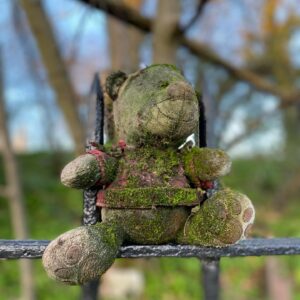 Amelia Eve Instagram - Lost & Found 🧸 • an ode to 2020 • 

It’s often with the loss of an old comfort that we find new strength, new love, new appreciation and understanding.  Following the countless losses of 2020, let’s focus our energy on the beauty still yet to be found in 2021 ✨