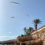 Amelia Eve Instagram - Three little birds.. 🪺🏝