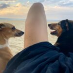Amelia Eve Instagram - Made a few furiends in Paradise 🐾