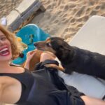 Amelia Eve Instagram - Made a few furiends in Paradise 🐾