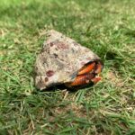 Amelia Eve Instagram - El cangrejo 🦀 Fun fact: crabs can be right-handed, left-handed or ambidextrous #crabsarecool