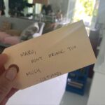 Amelia Eve Instagram - Carrying that Maru energy into 2023 🥂 ‘Caricias y melaza para todas!’ 🍯💋