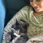 Amelia Rose Blaire Instagram - Theo took a love step! Our best cuddle session yet 💕 . . #catsofinstagram #catcuddles #cuddlebuddy #cat #dechartgames