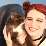 Amelia Rose Blaire Instagram - I’m in love 💙 Theo . #dechartgames #catsofinstagram #kitten #adoptdontshop #kittenrescue