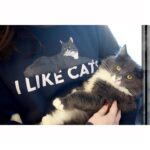 Amelia Rose Blaire Instagram - I like cats. That is that. Use Discount Code “Dechart” on all merch at DechartGames.com! . . #dechartgames #connorarmy #catsofinstagram #cats #ilikecats #merch #twitch #streamer #twitchpartner