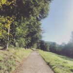 Amelia Warner Instagram – Morning run.. 
had to keep stopping to take pictures! Was all so beautiful..