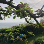 Amelia Warner Instagram - 🌸🐥🥚🍫 Happy Easter!