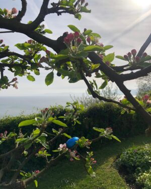Amelia Warner Instagram - 🌸🐥🥚🍫
Happy Easter!