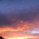 Amelia Warner Instagram -