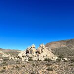 Amelia Warner Instagram - Joshua Tree 🌵🌵🌵 @mikusz