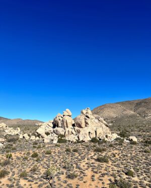 Amelia Warner Instagram - Joshua Tree 🌵🌵🌵 @mikusz