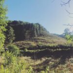 Amelia Warner Instagram – Morning run.. 
had to keep stopping to take pictures! Was all so beautiful..