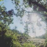 Amelia Warner Instagram – Morning run.. 
had to keep stopping to take pictures! Was all so beautiful..