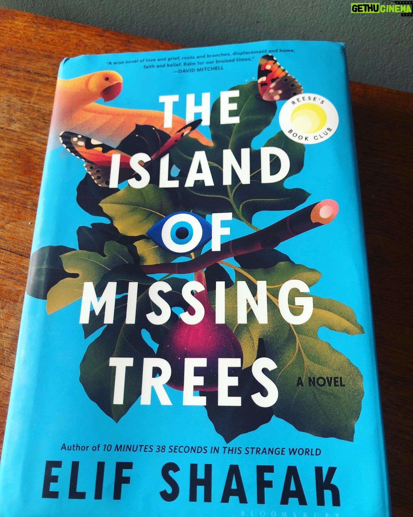 Amelia Warner Instagram - Absolutely adored this! Such a beautiful book and a complete joy to read..#theislandofmissingtrees #womensprizeforfiction